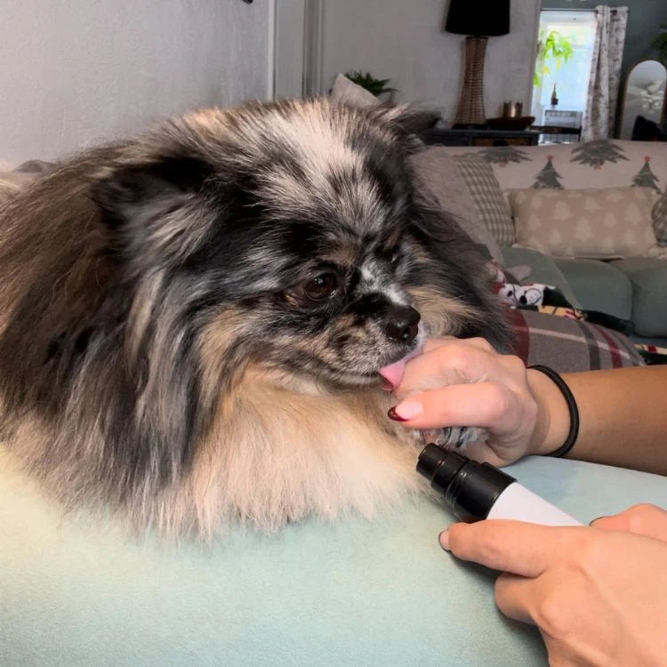 Cortaúñas Eléctrico Para Perros