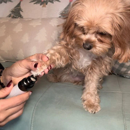 Cortaúñas Eléctrico Para Perros