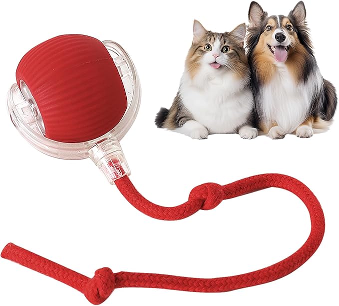 Pelota Interactiva