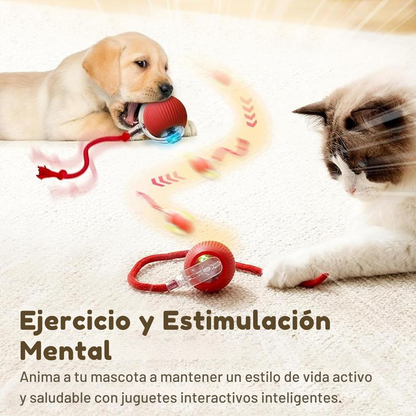 Pelota Interactiva